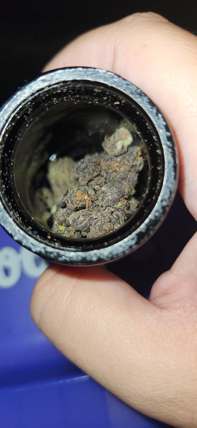 Customer photo review of Bacio Gelato Classic THCa Flower 3.5g