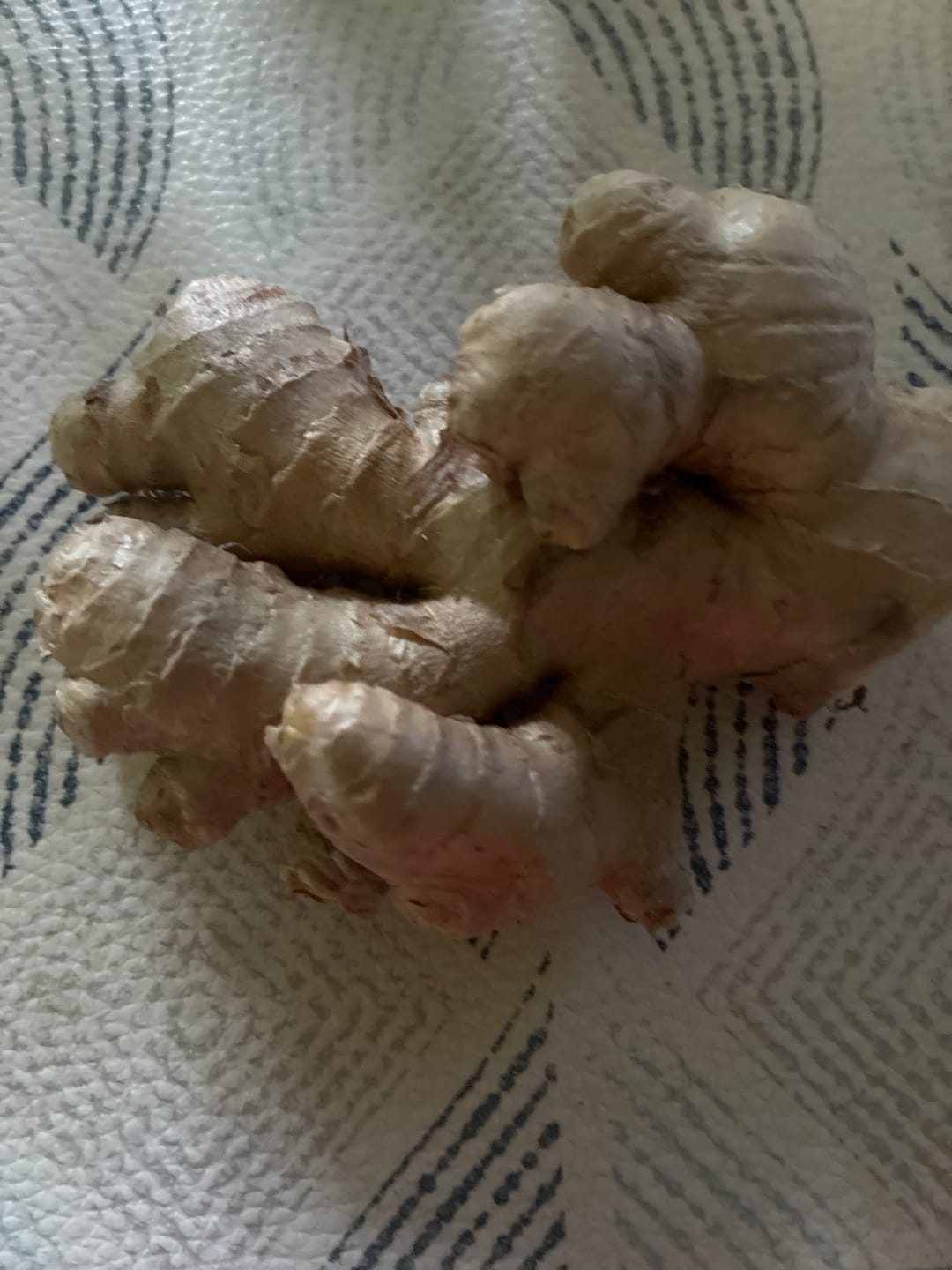 Customer photo review of Ingwer Bio aus Peru (mit Schale verwertbar) Aktionspreis %