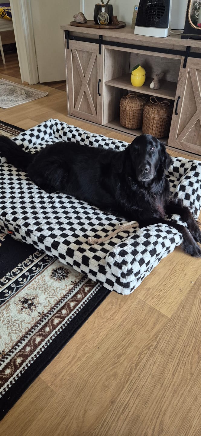 Customer photo review of Orthopedic Dog Bed Pet Mat Calming Checkered Plush Sofa Washable