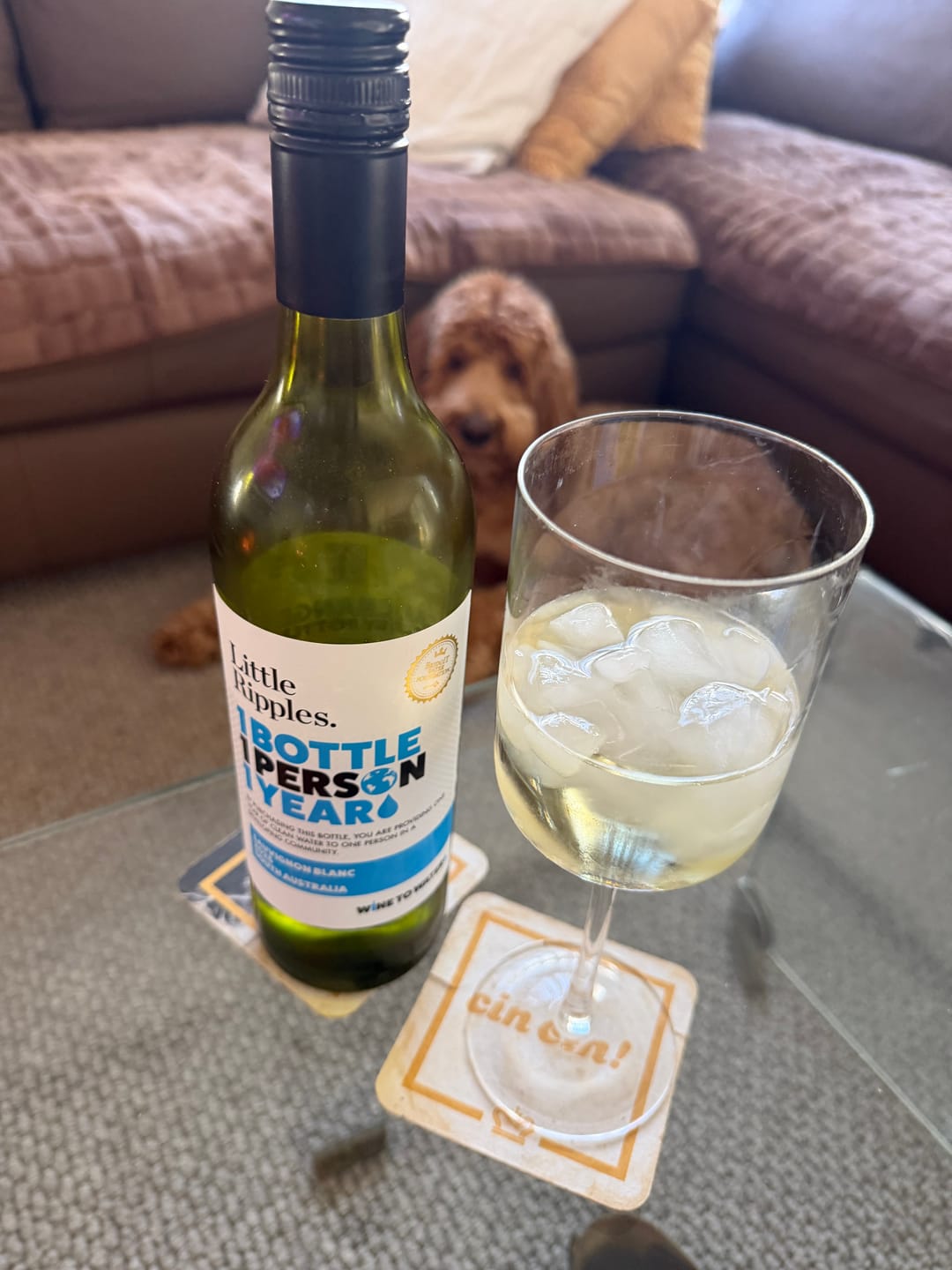 Customer photo review of Zero Sugar Sauv Blanc & Rosé – Australian Wine | 2 Pack