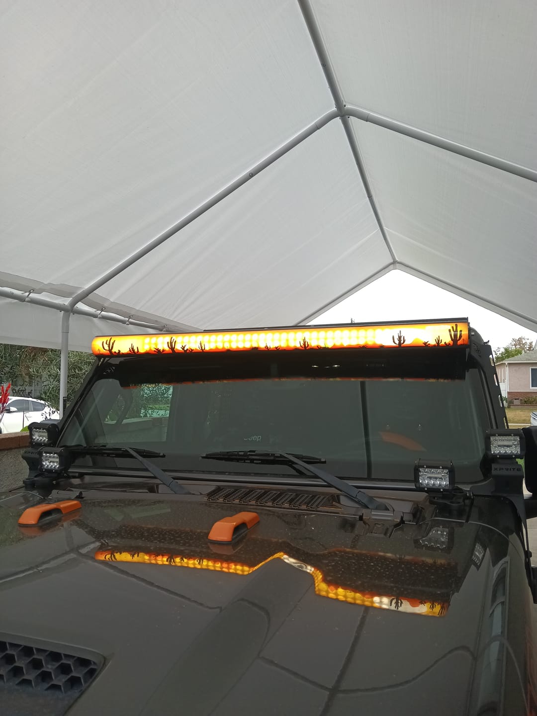 Customer photo review of Custom InsertZ | Dual Row 52"