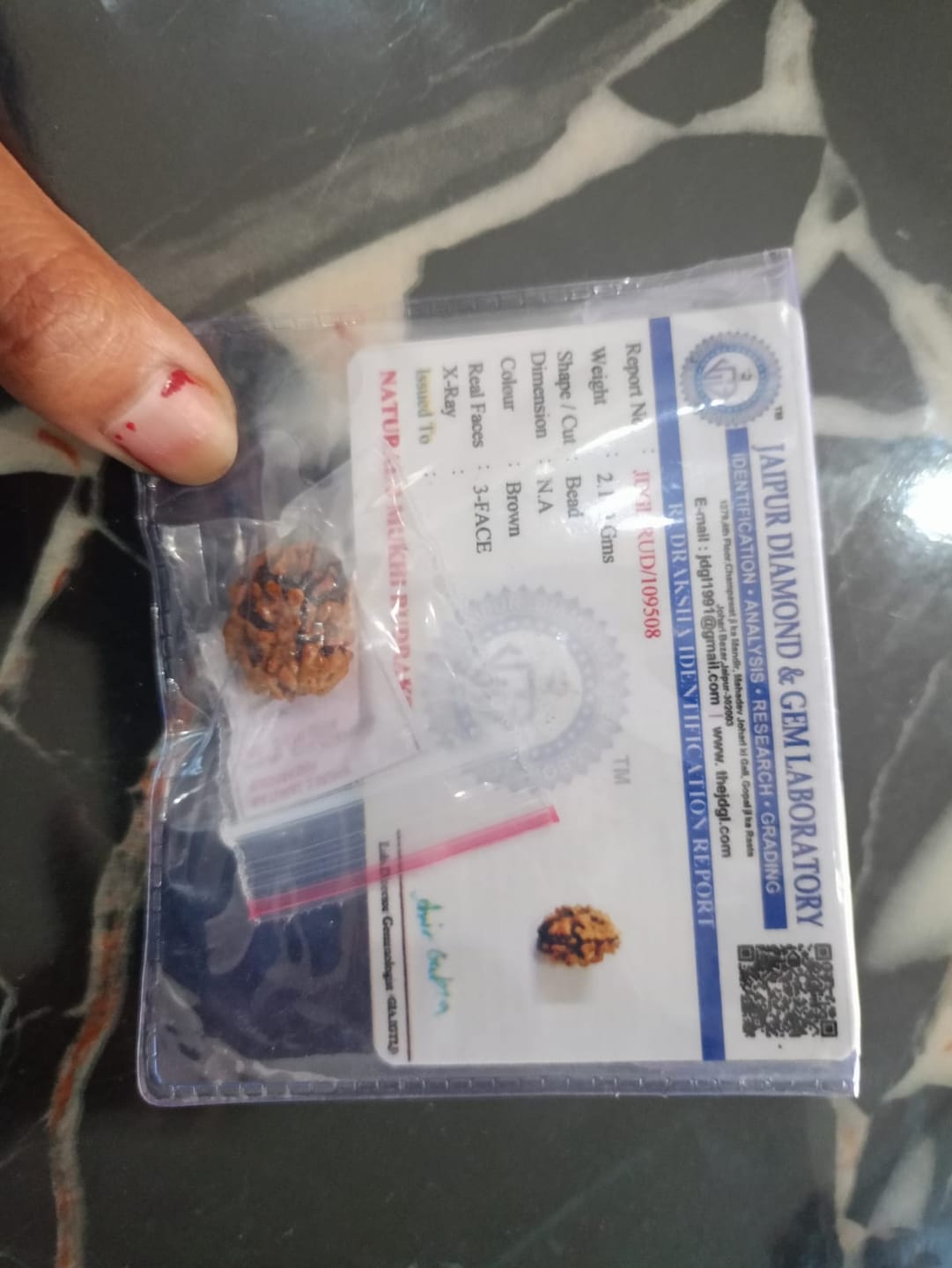 Customer photo review of Nepal Origin 3 Mukhi Rudraksha – 100% Natural & Certified