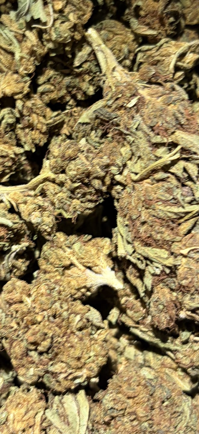 Customer photo review of THCA Flower Budget Buds