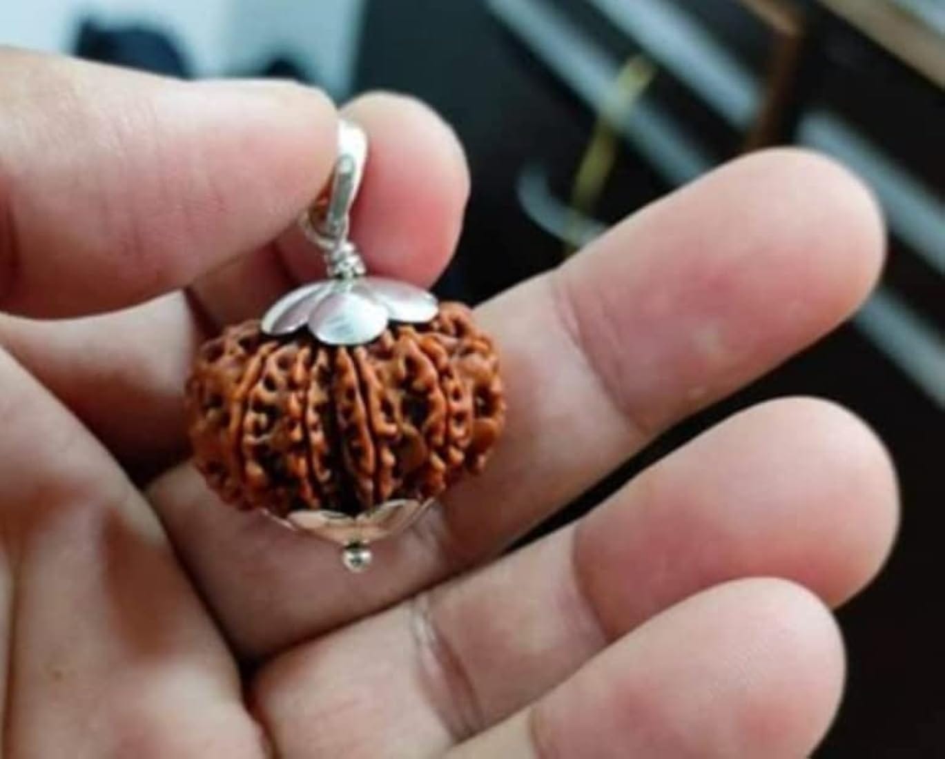Customer photo review of Nepal Origin 14 Mukhi Rudraksha – 100% Natural & Certified