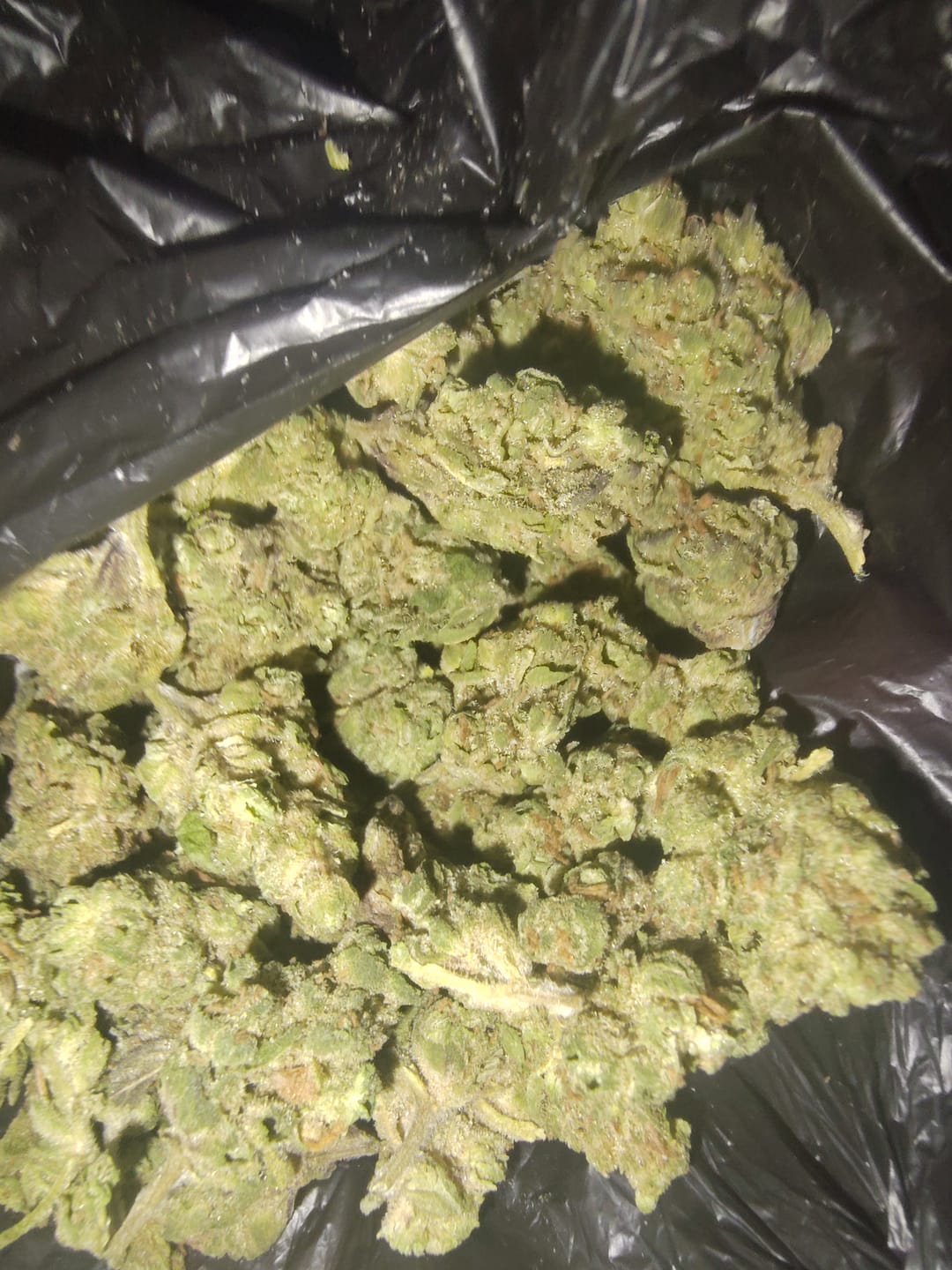Customer photo review of Cheap THCA Smalls Quarter Pound