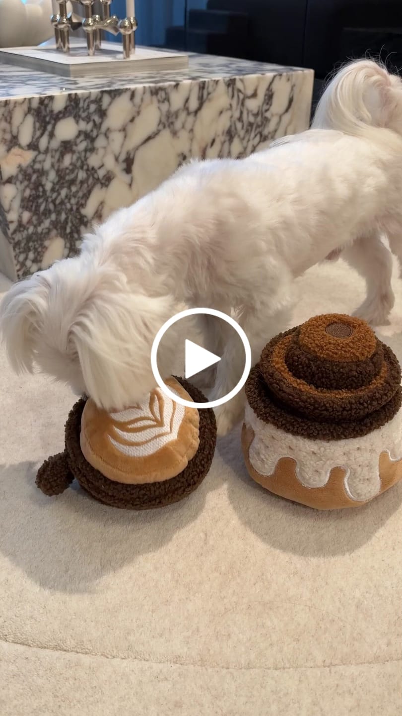 Customer video review of Flat White Cup Toy