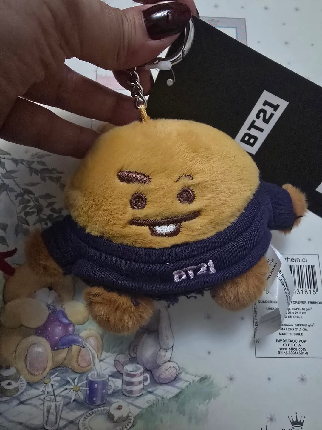 Customer photo review of BT21 - 2026 F/W BASIC PLUSH KEYRING