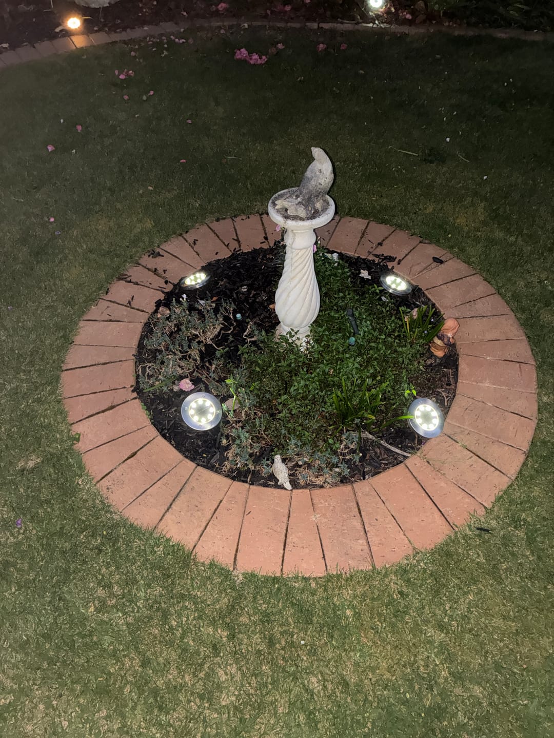 Customer photo review of SolaGarden™ LED Ground Light Pack