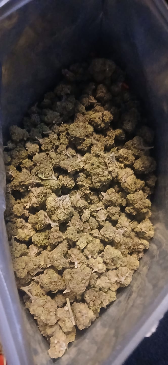 Customer photo review of Cheap THCA Smalls Quarter Pound