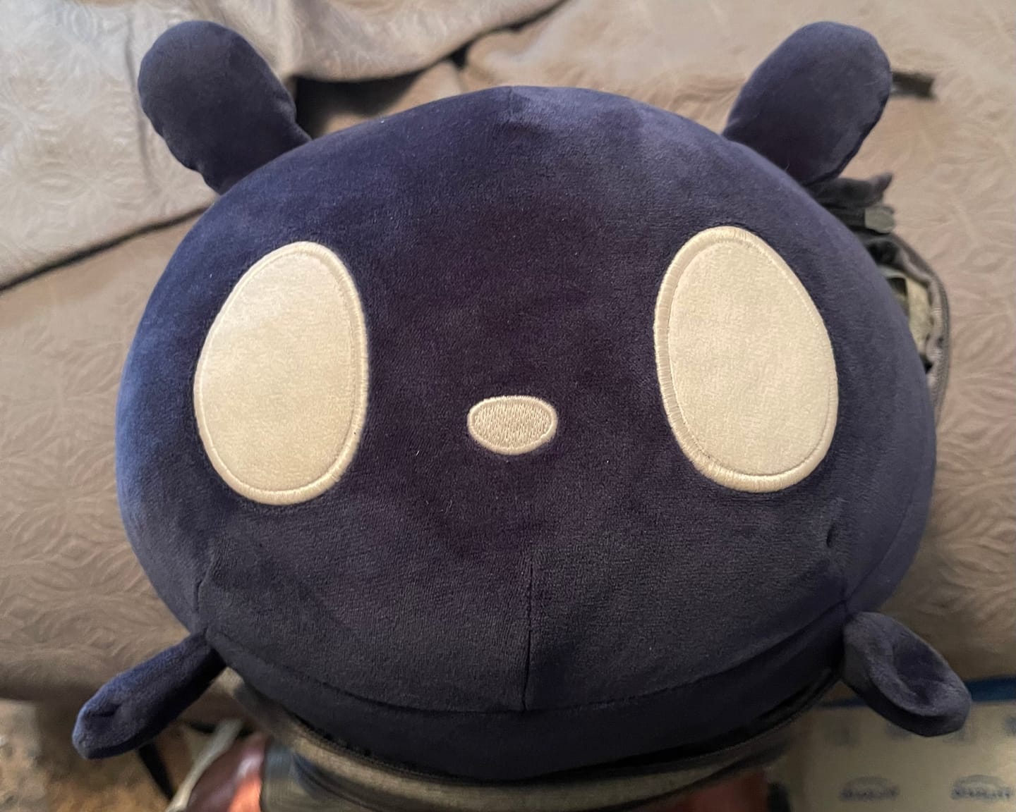 Customer photo review of Rain World - Watcher Slugcat Pillow Plush
