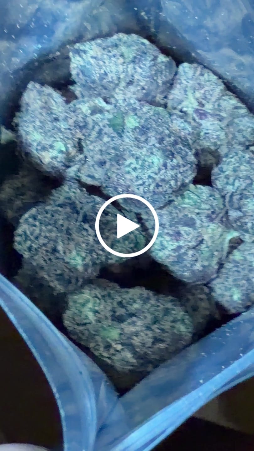 Customer video review of Watermelon Zkittlez THCA Flower (Exotic)