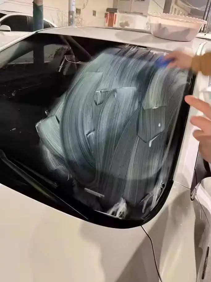 Windshield cleaner customer photo