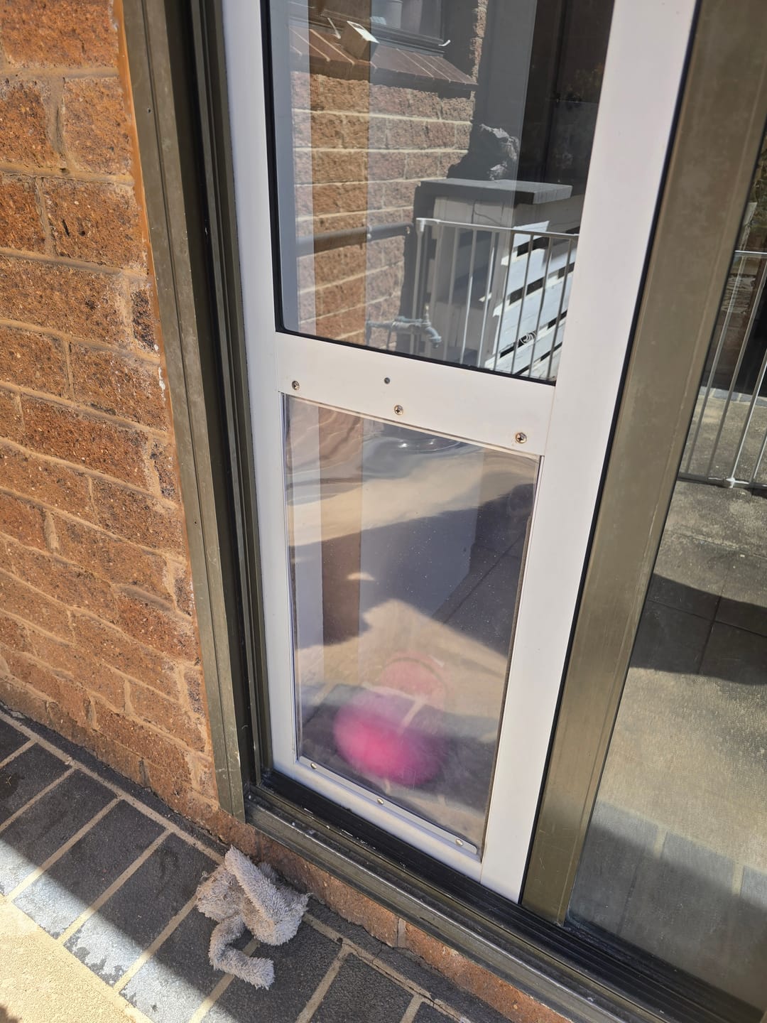 Customer photo review of Replacement Pet flap V3.0