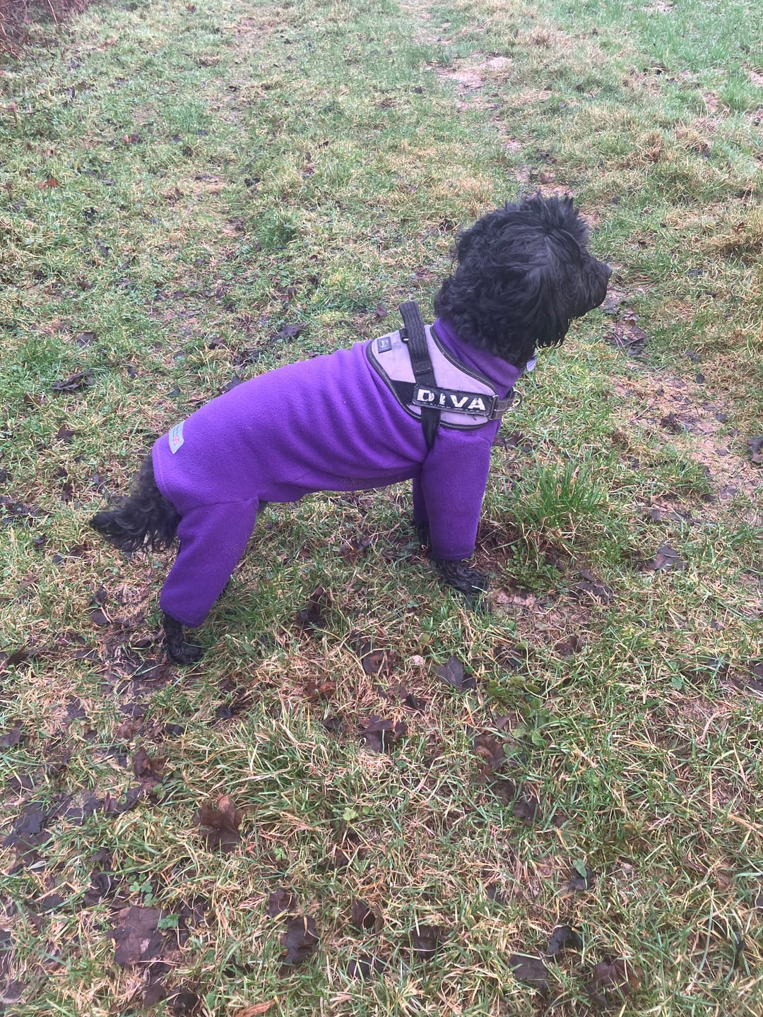 Customer photo review of Plain Anti Pill Polar Fleece Fabric