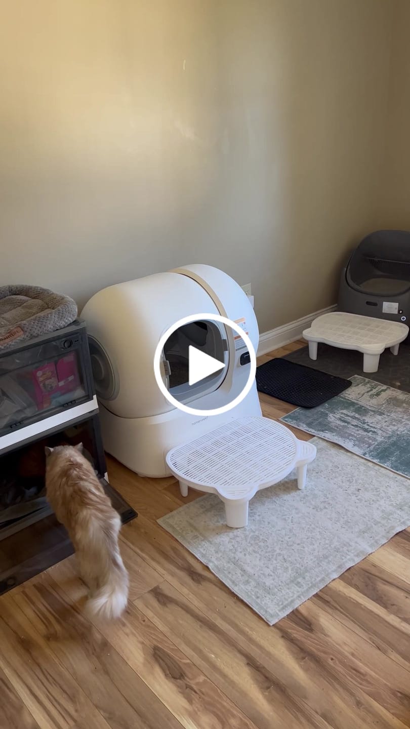 Customer video review of Self-cleaning Litter Box CS106