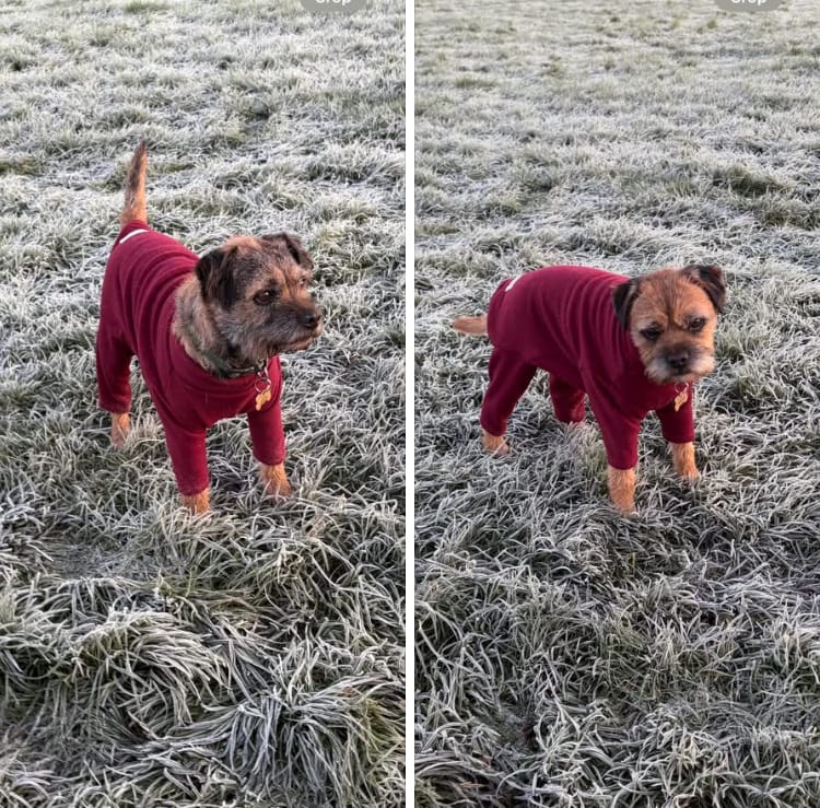 Customer photo review of Plain Anti Pill Polar Fleece Fabric