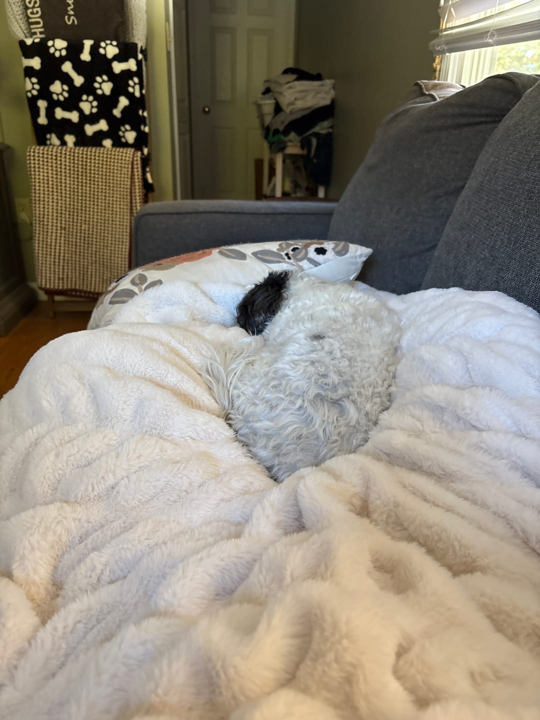 Customer photo review of Hugs Cream Blanket