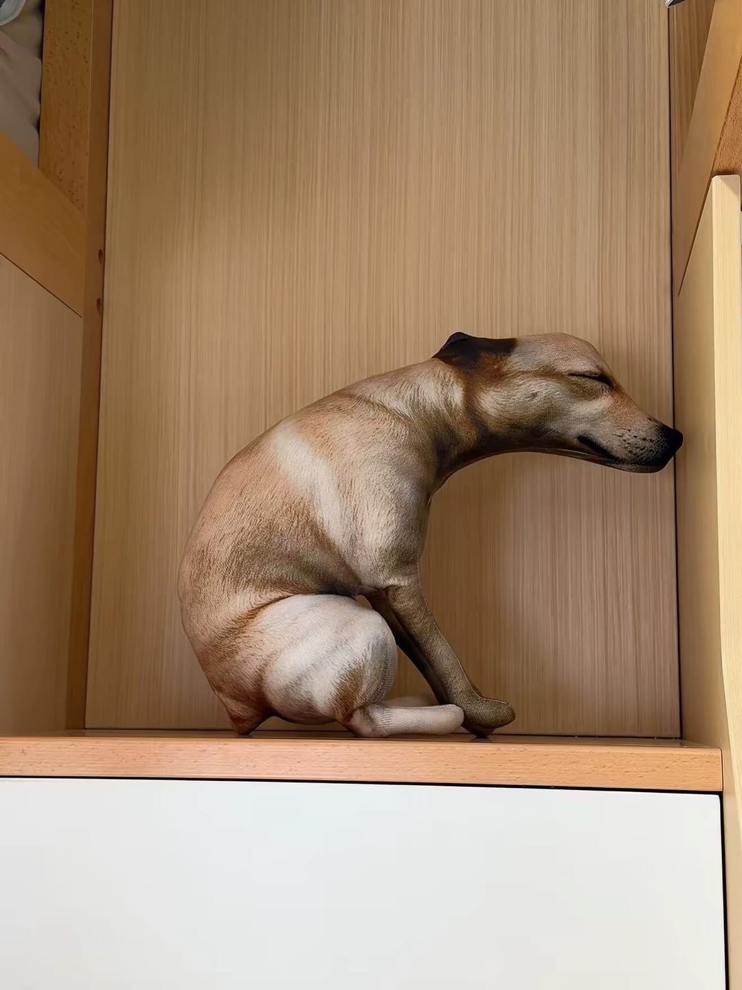 Customer photo review of Real Dog