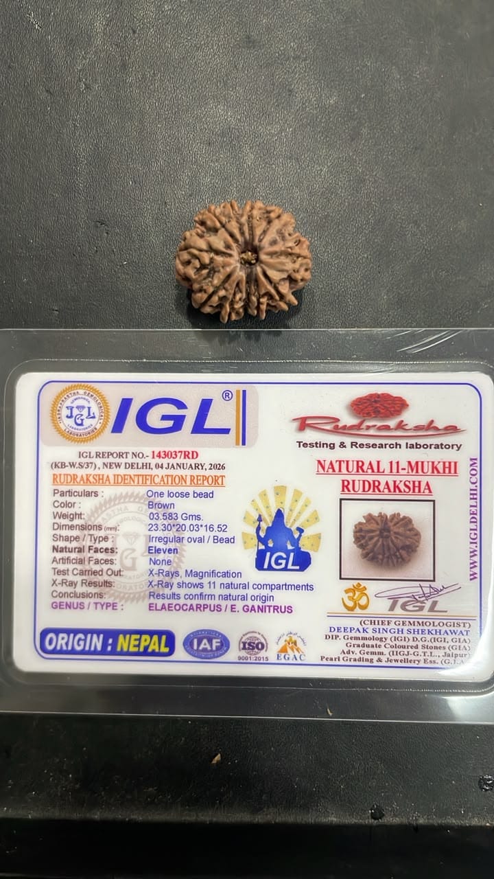 Customer photo review of 11 Mukhi Rudraksha – Nepal Origin, Natural & Certified