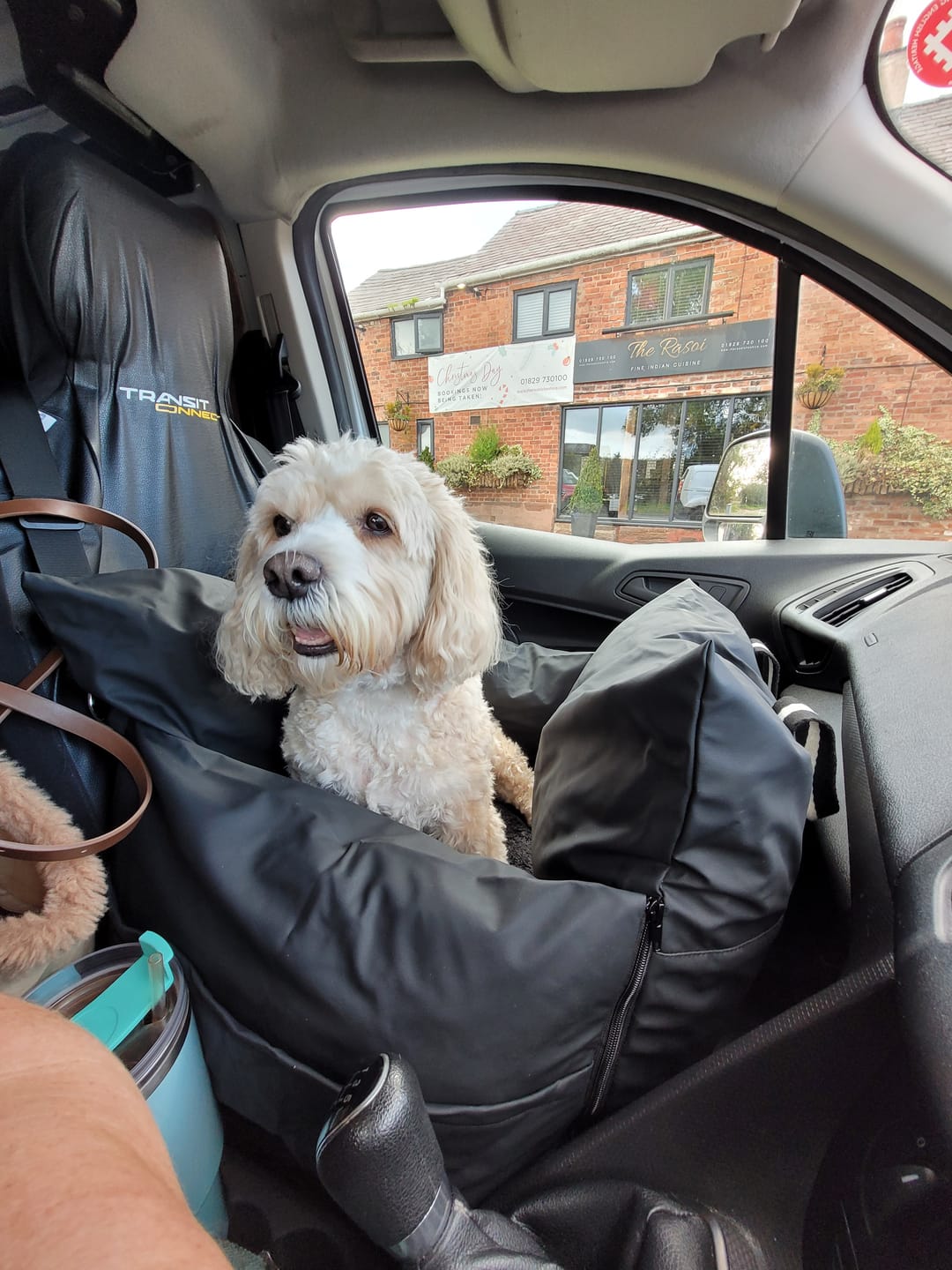 Customer photo review of Dog Dock V2 New & Improved ISO Fix