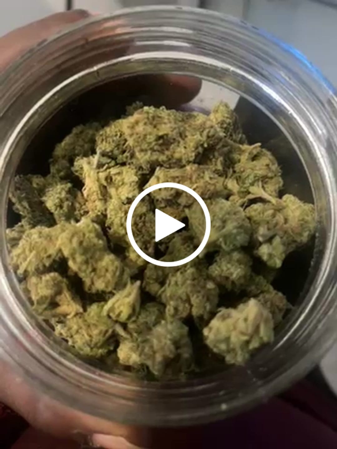Customer video review of White Gushers THCA Flower