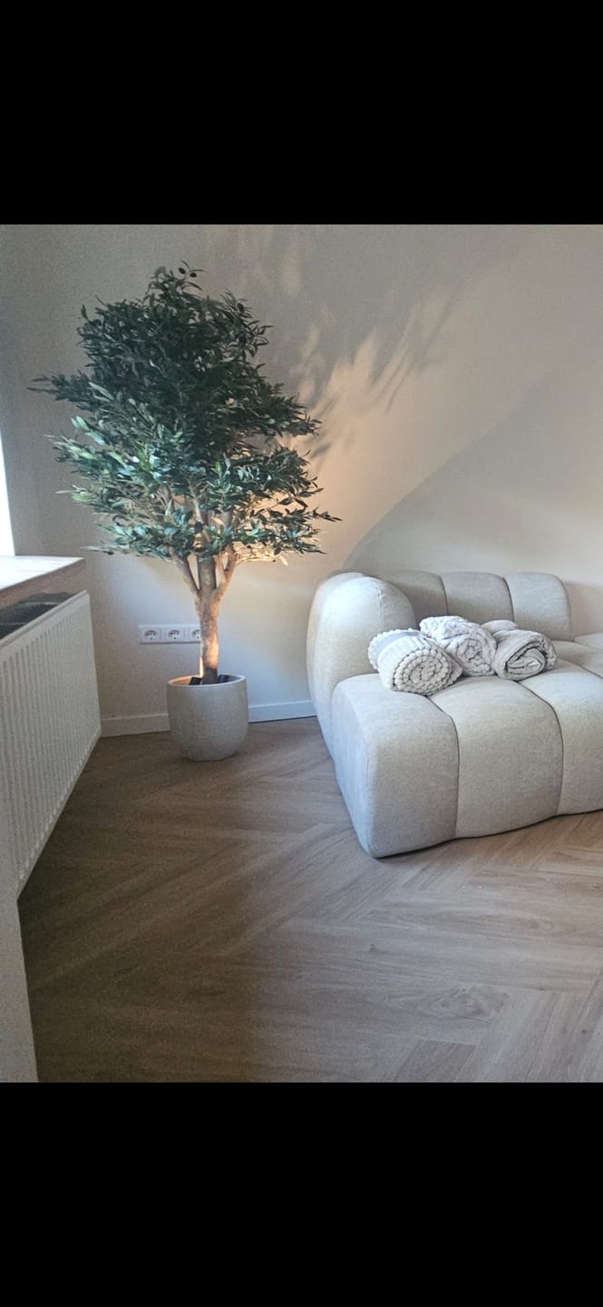 Customer photo review of Kunst Olijfboom 165cm Deluxe
