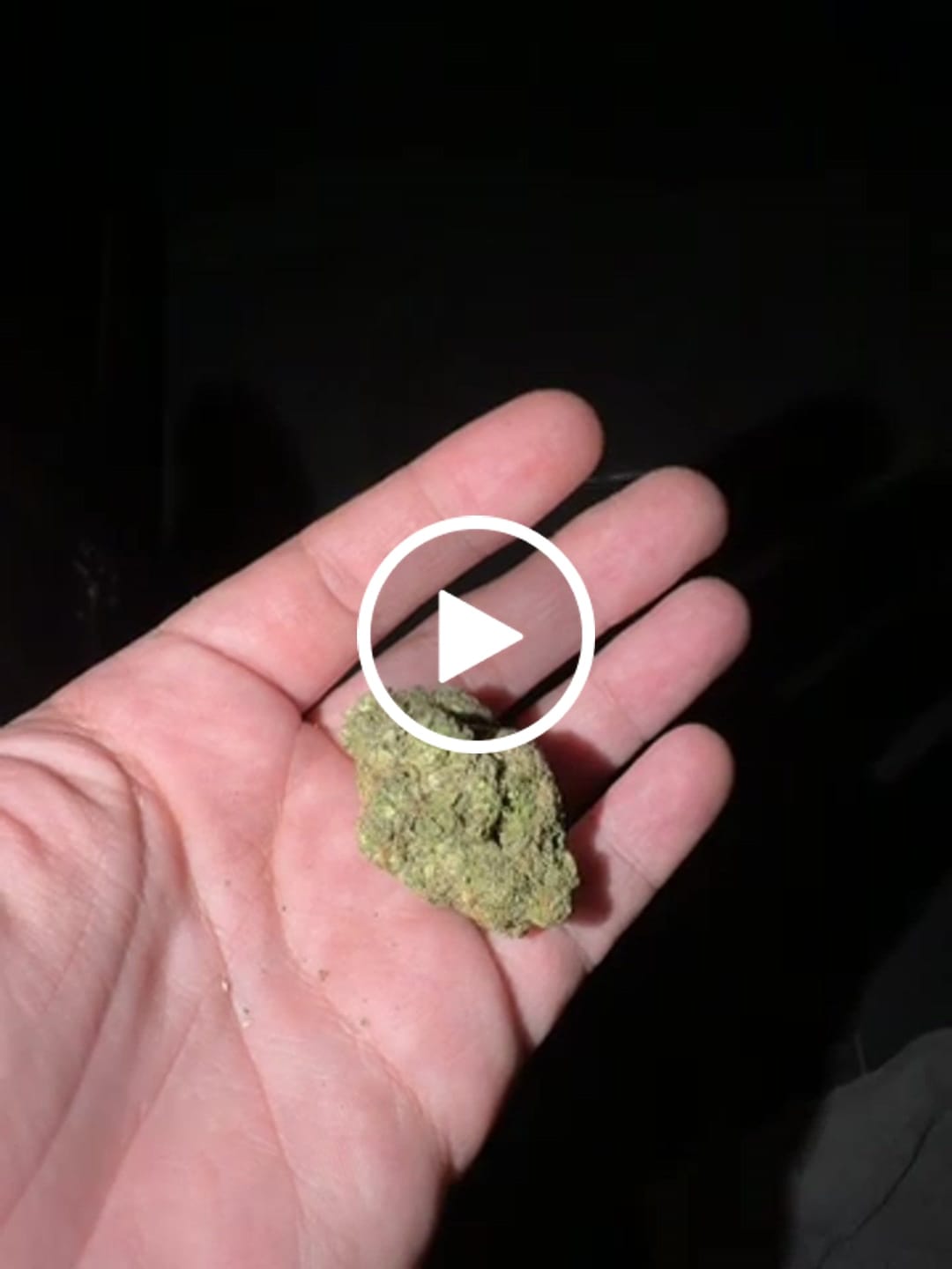 Customer video review of Gasanova - THCA Flower