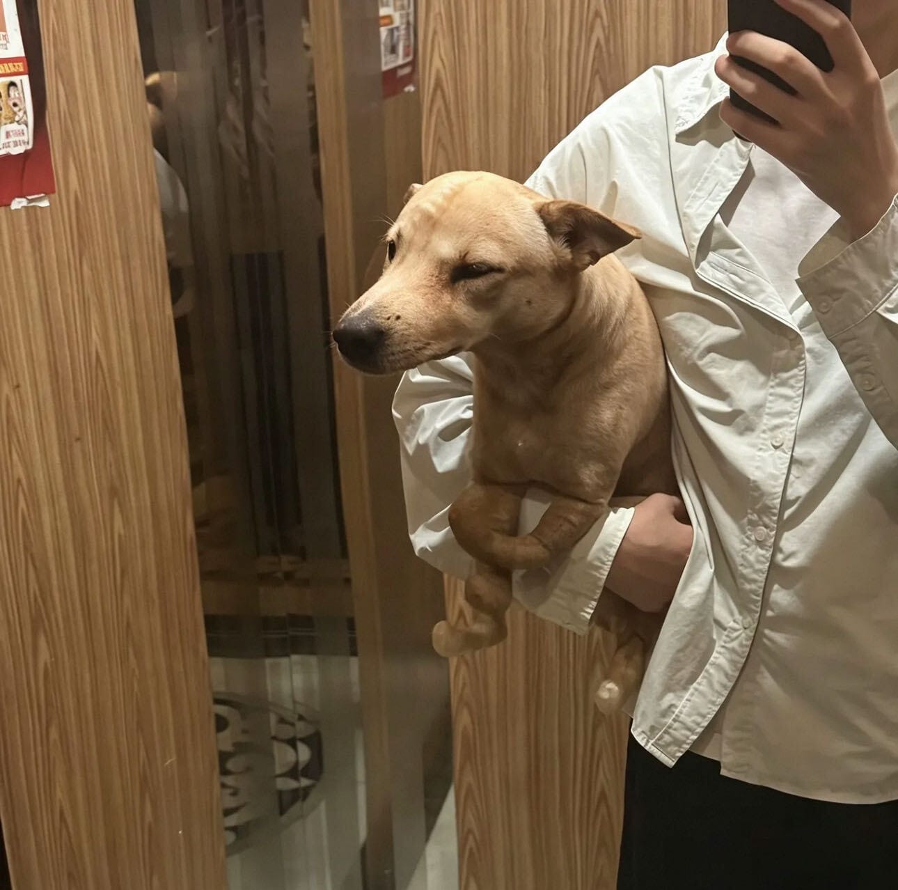 Customer photo review of Real Dog