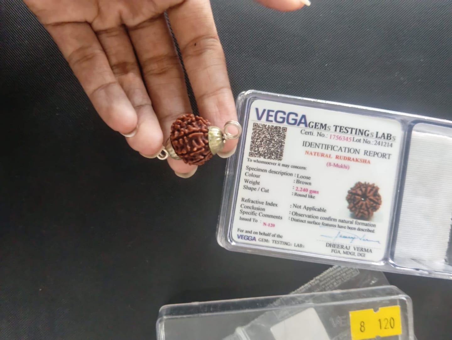 Customer photo review of Nepal Origin 7 Mukhi Rudraksha – 100% Natural & Certified