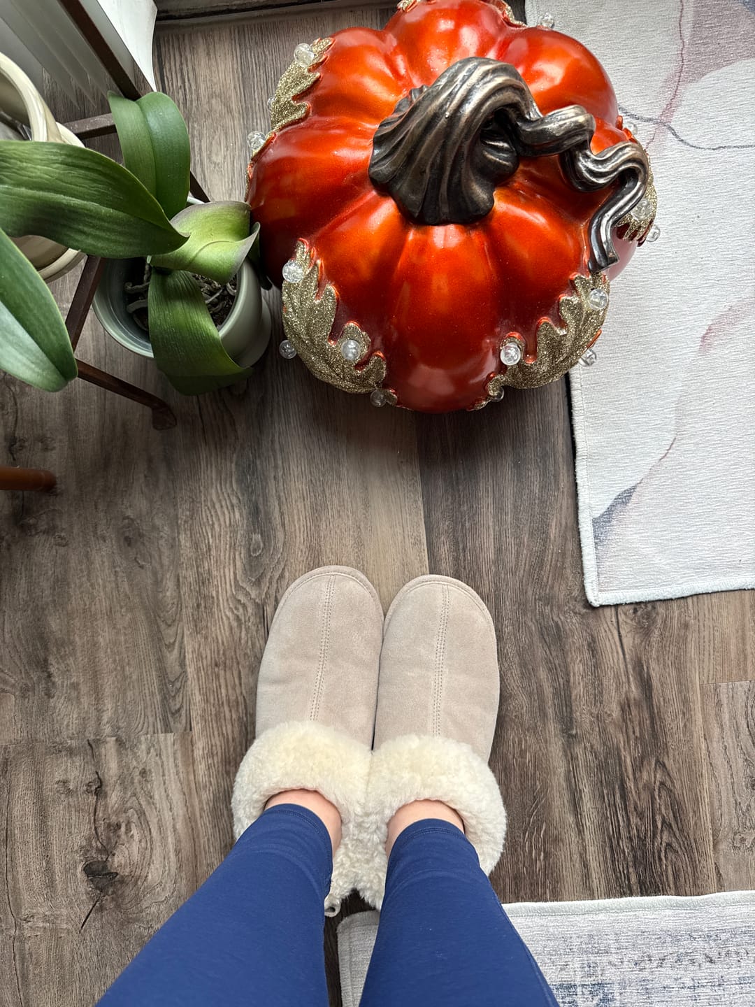 Customer photo review of DELANIE MUSHROOM