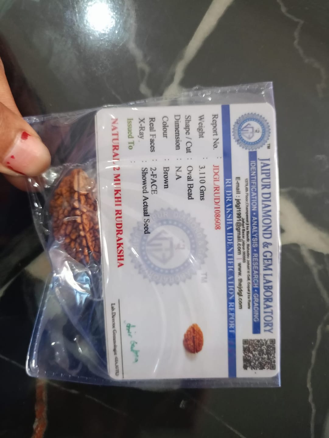 Customer photo review of South India Origin 2 Mukhi Rudraksha – 100% Natural & Certified