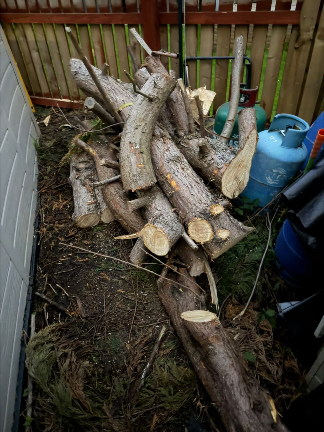 Customer photo review of Tree Trimming/Wood Cutting – ProCut U-Groove Arc Edge Pruning Reciprocating Saw Blade