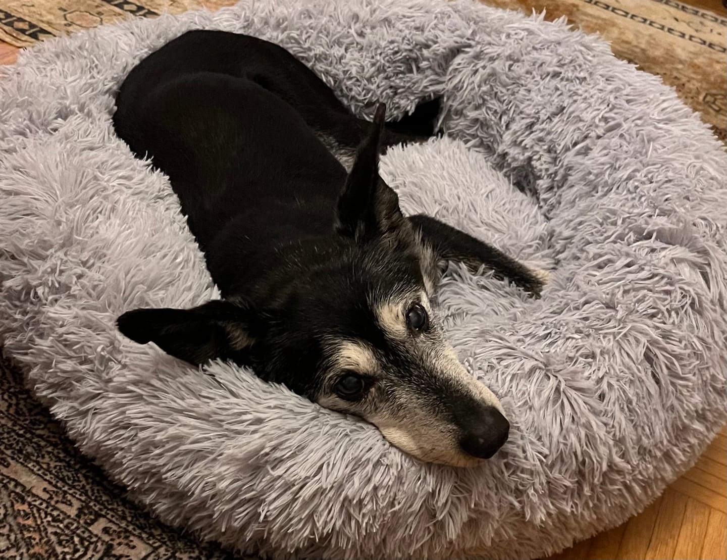 Customer photo review of CalmBed – Ehkäisee stressiä ja lievittää ahdistusta