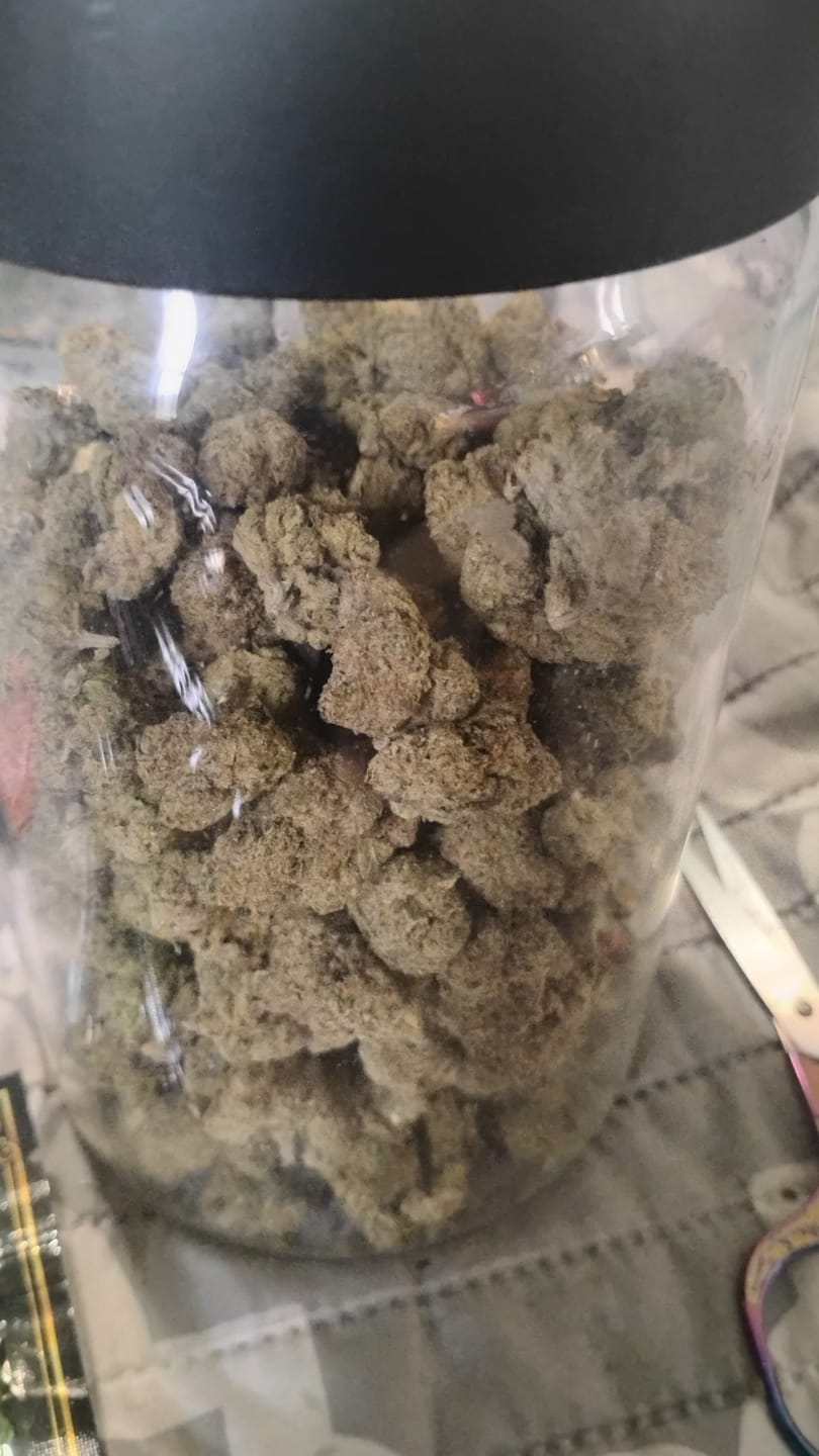 Customer photo review of Light Assist THCA Smalls