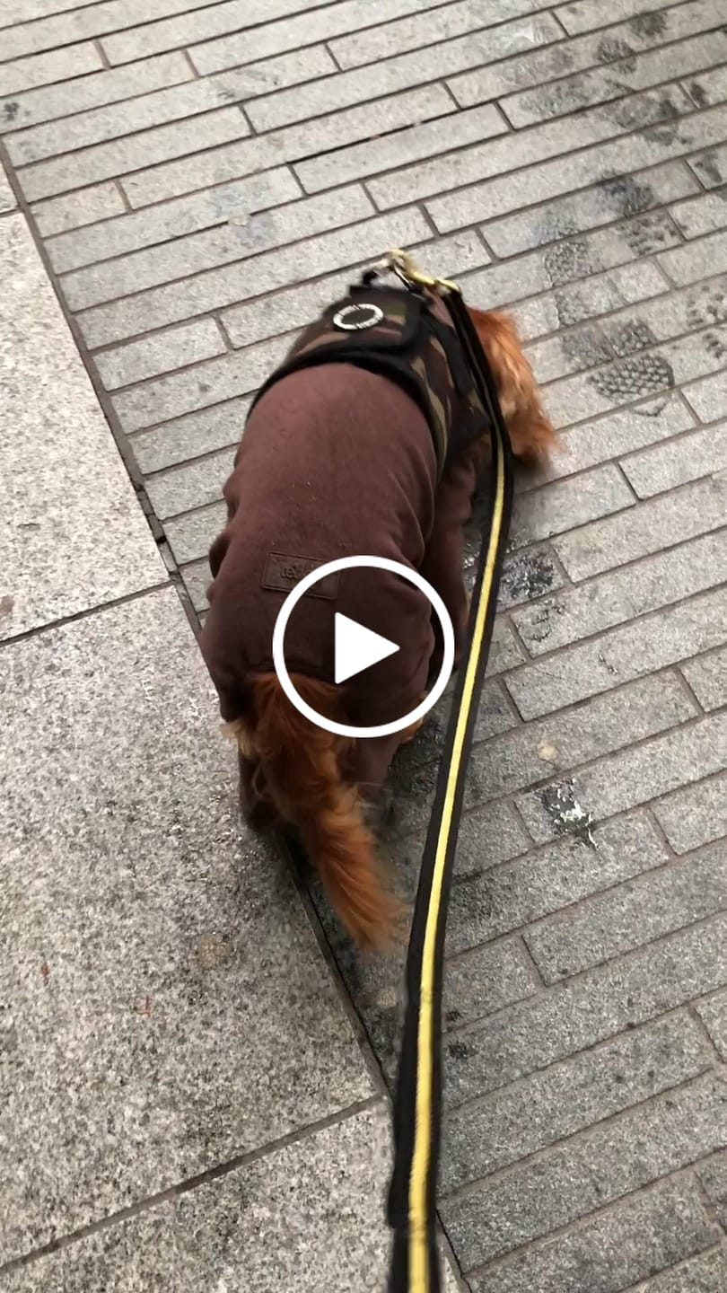 Customer video review of Chocolate | The Capsule Fleece Bodysuit
