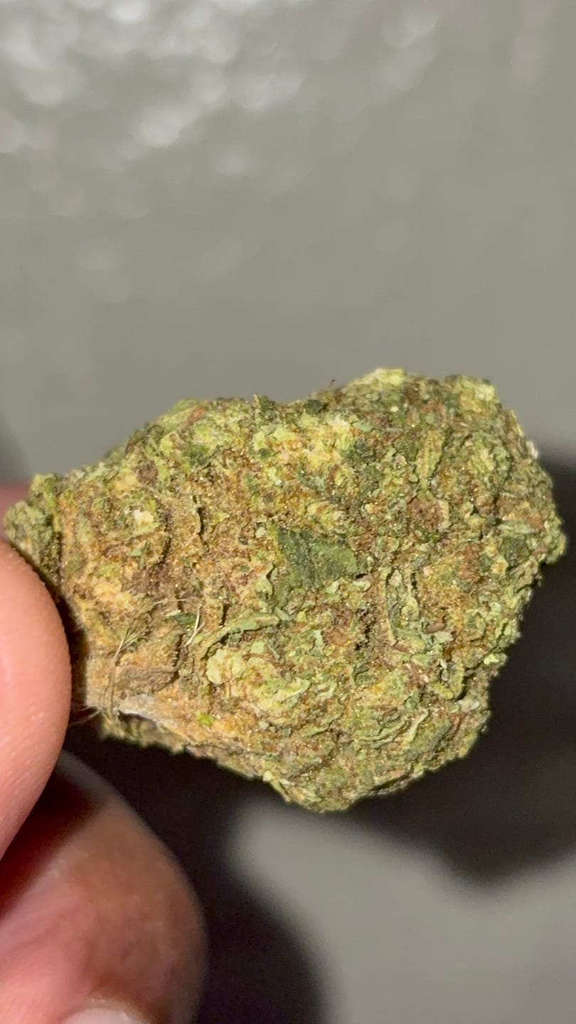 Customer photo review of THCA Flower Budget Buds