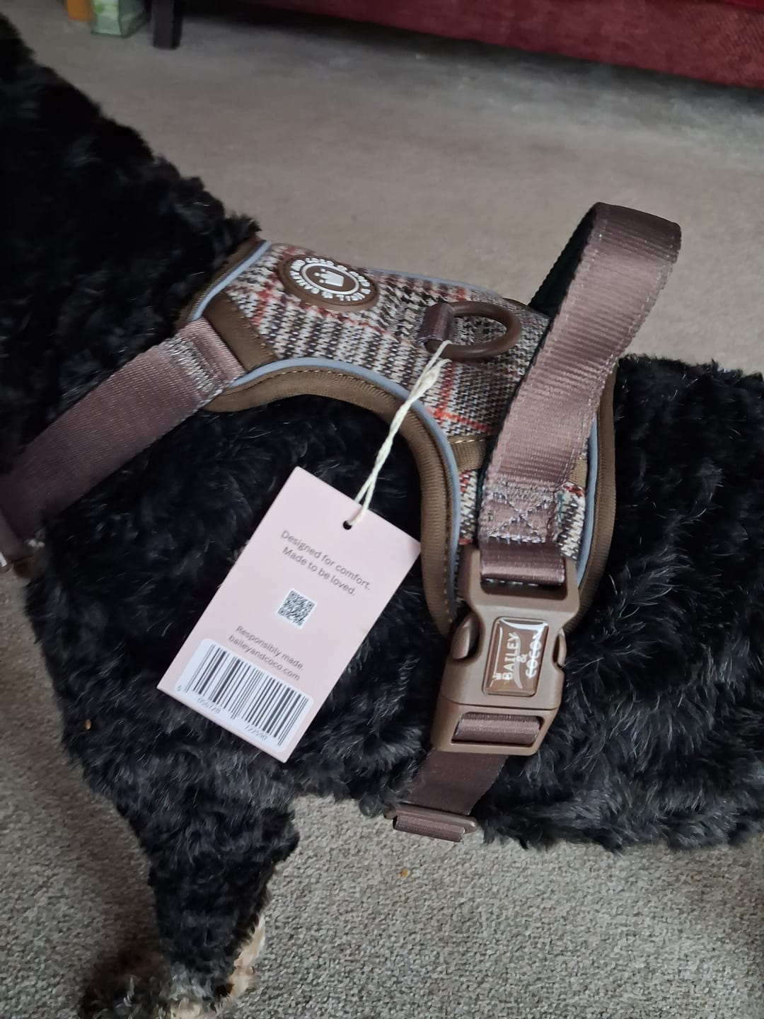 Customer photo review of Trail & Glow Tweed Dog Harness - Colour Drops - Heritage Plaid