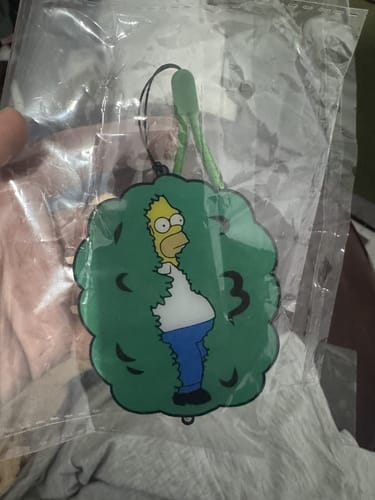 Customer photo review of Homer Car Mirror Hanging