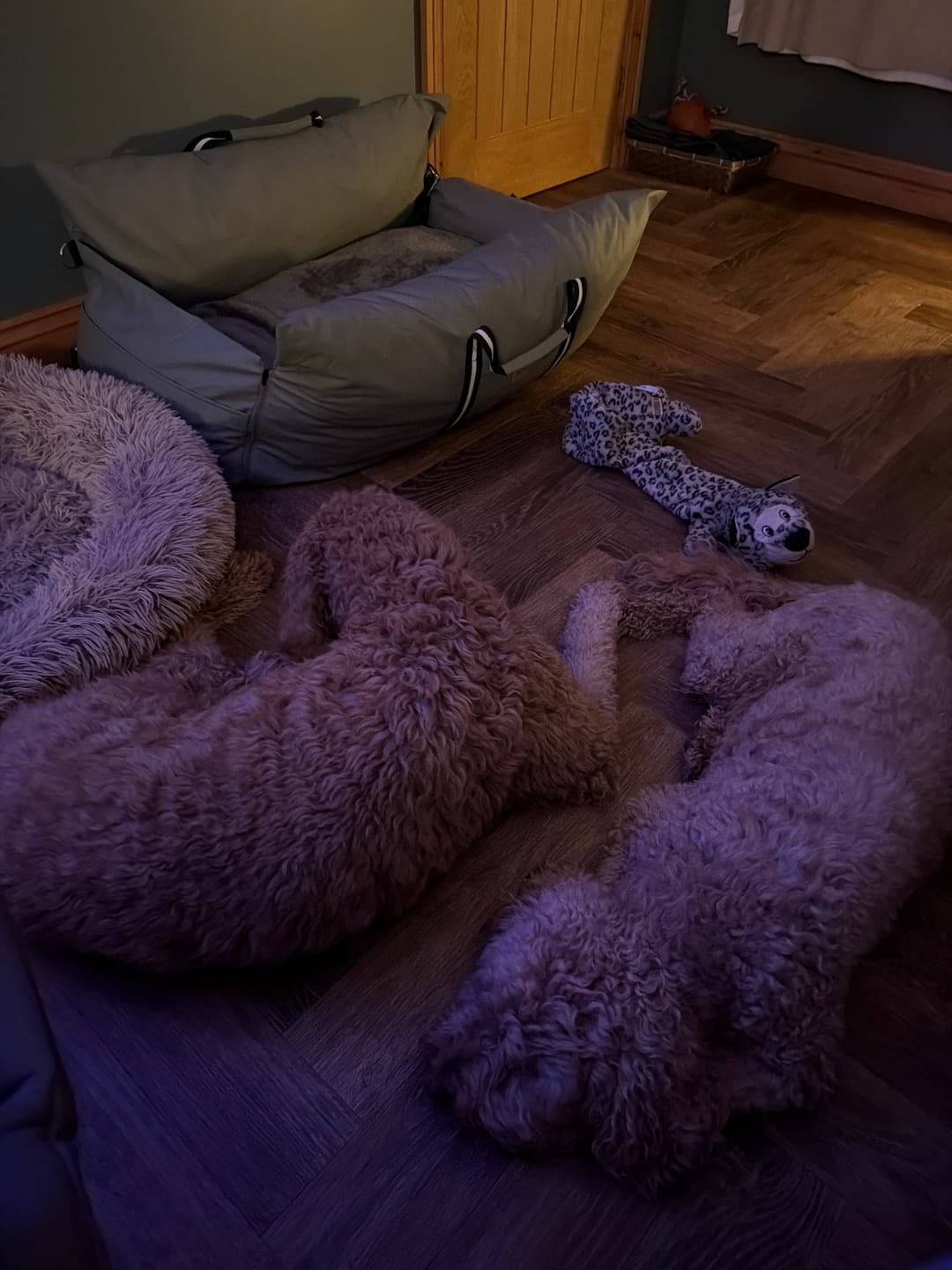 Customer photo review of Dog Dock V2 New & Improved ISO Fix