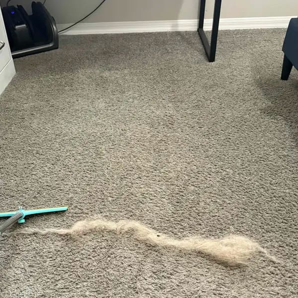 Customer photo review of Magic Lint Cleaner