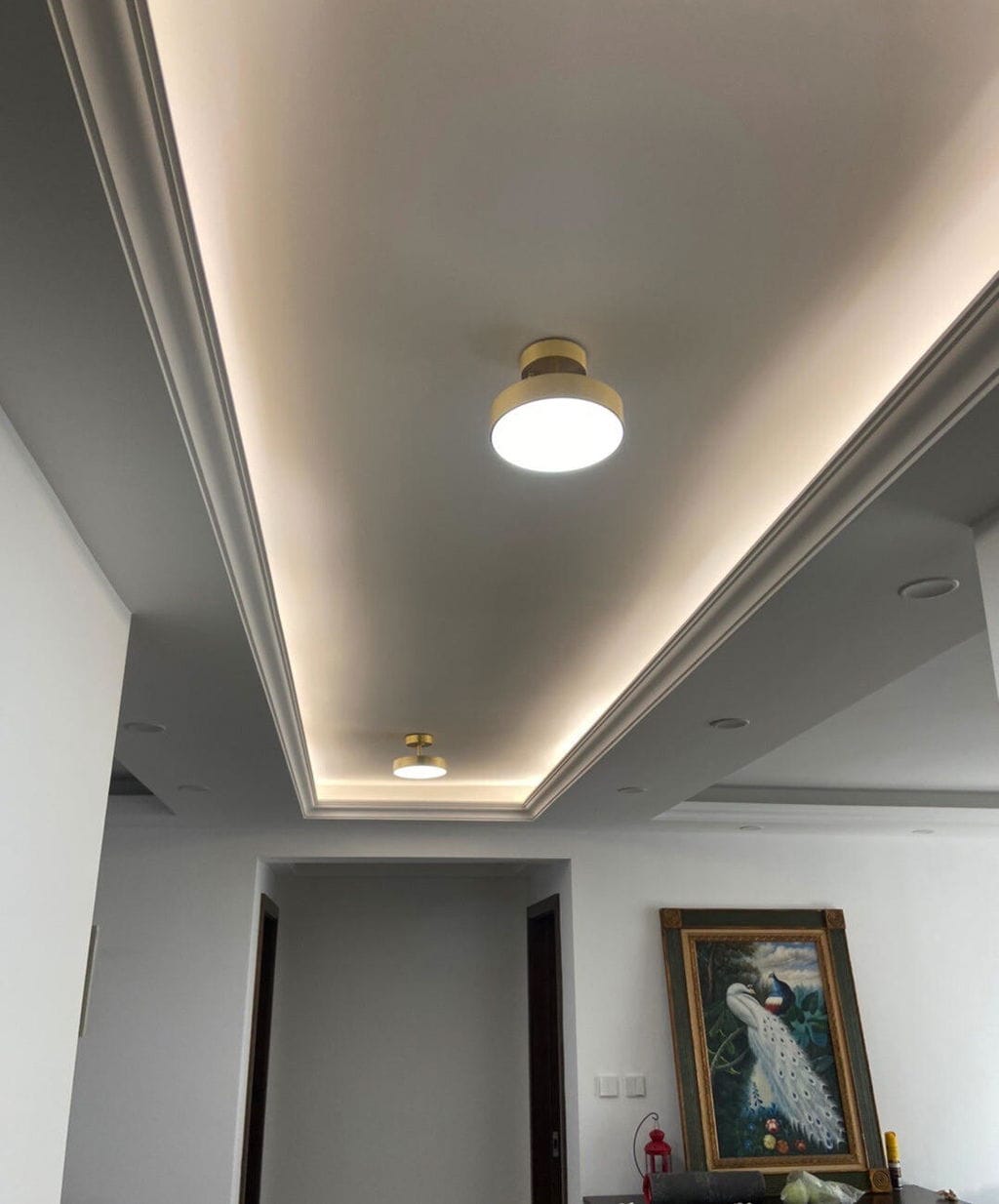 Customer photo review of Brass Ceiling Light, Head Rotates 45°, Integrated LED