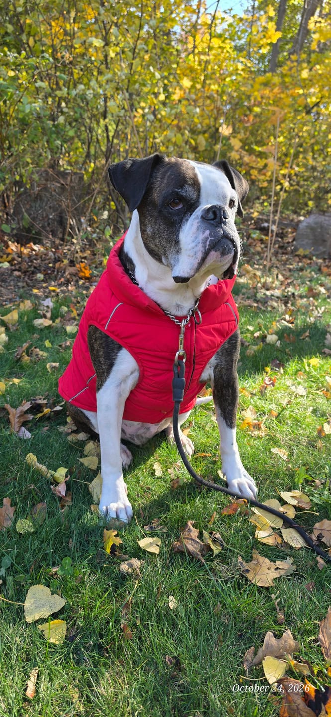 Customer photo review of WarmShield Water-Resistant Jacket - Red