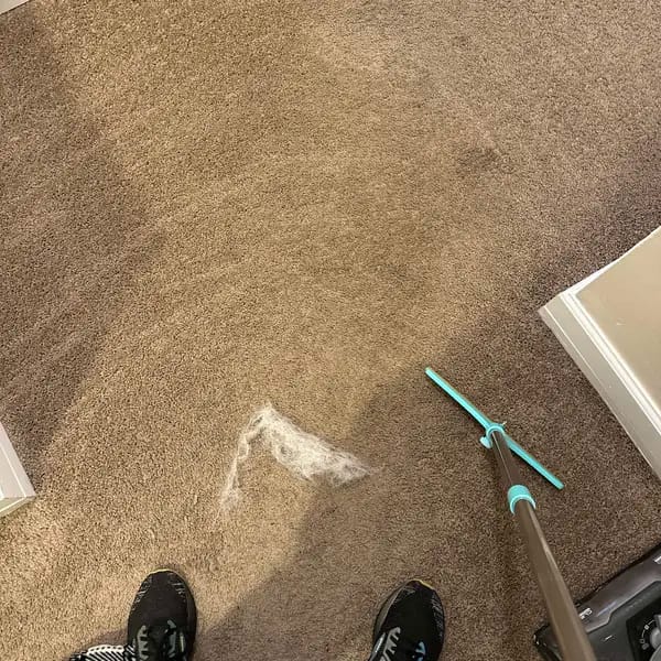 Customer photo review of Magic Lint Cleaner