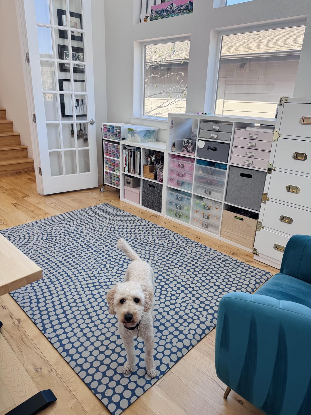 Customer photo review of Circa Cove Oversized Mat