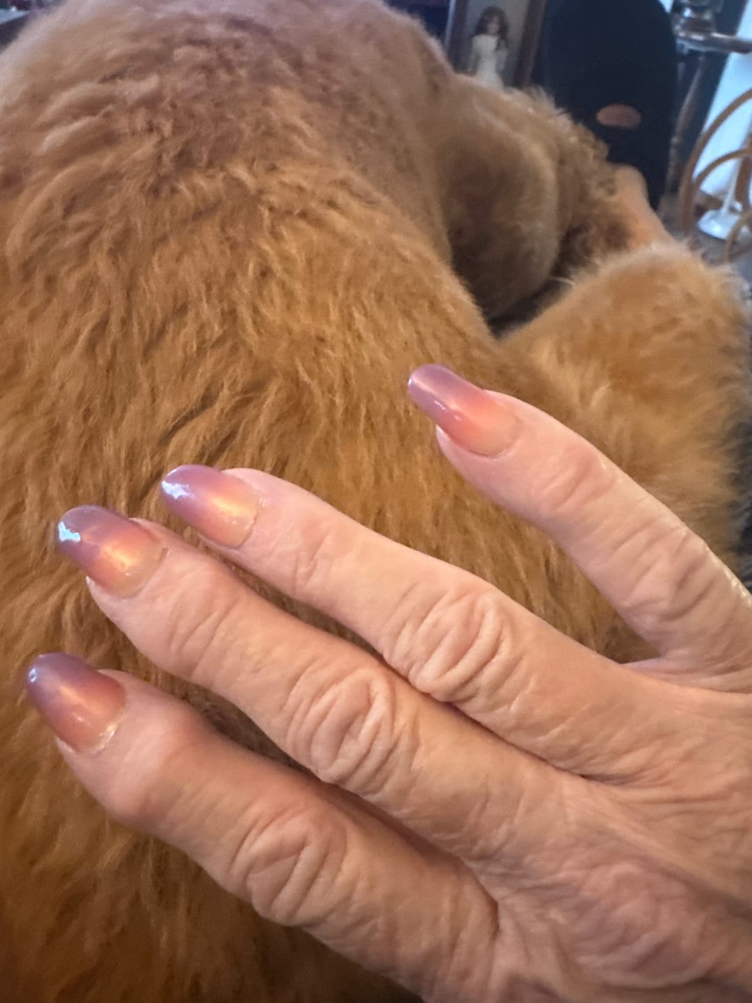 Customer photo review of Semicured UV gel nail sticker kit