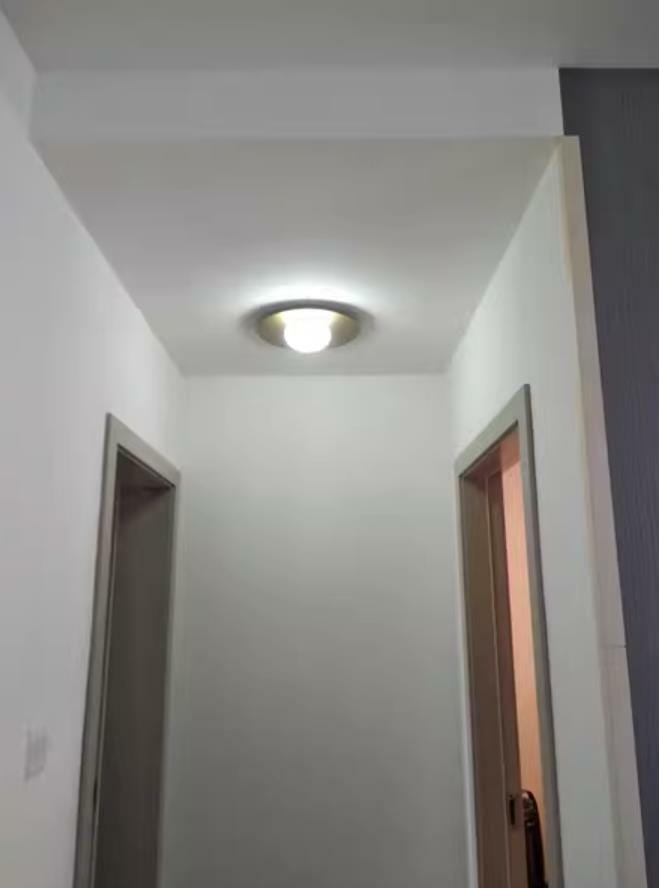 Customer photo review of Milk Glass Ceiling Light with Globe Shade, Metal Disc, 36 or 48 cm
