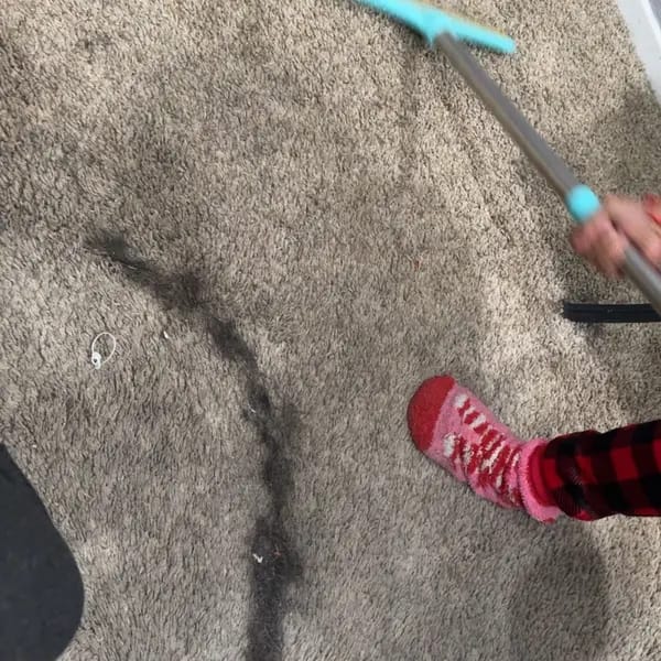 Customer photo review of Magic Lint Cleaner