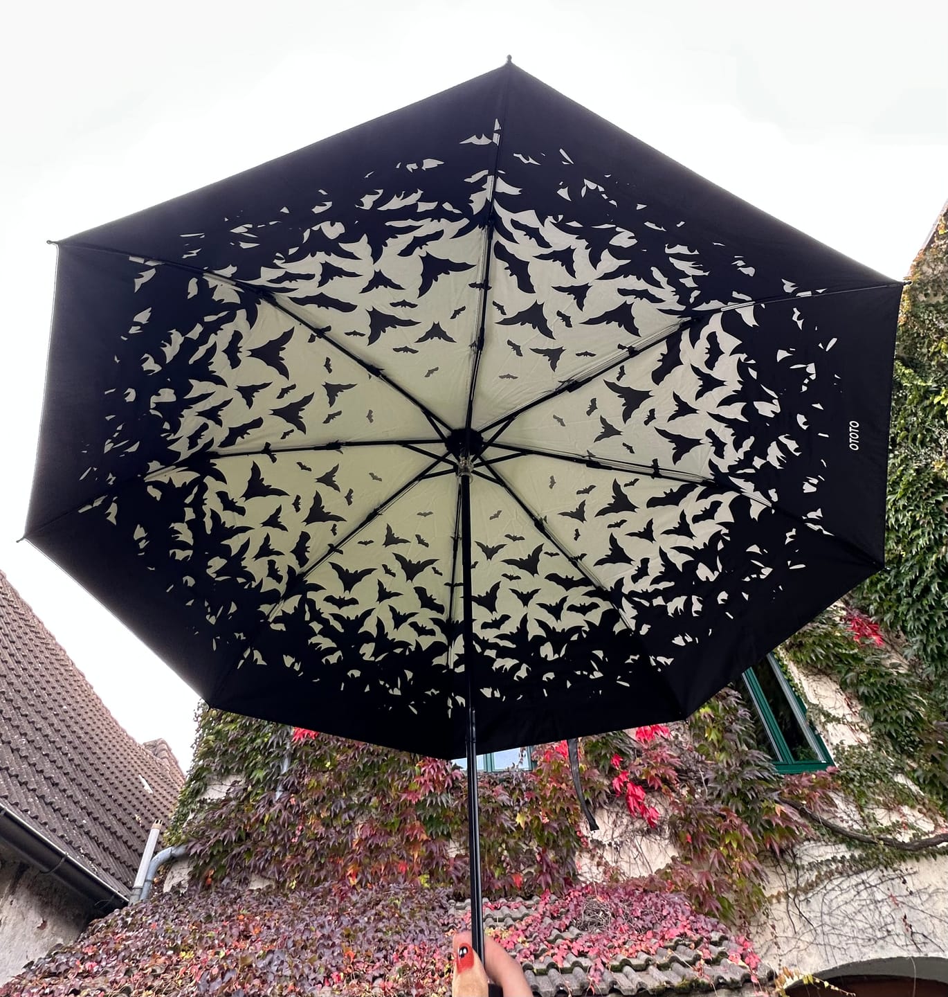 Customer photo review of Spookula Regenschirm Fledermaus – Taschenschirm mit Dracula Design OTOTO