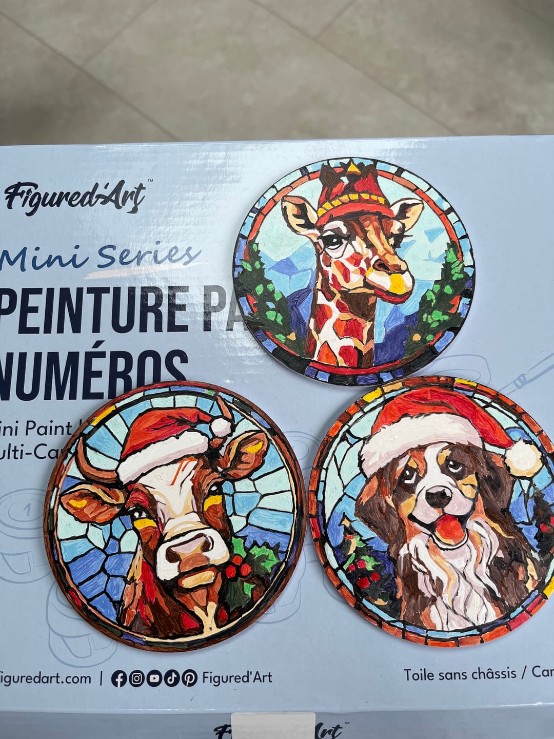 Customer photo review of Peinture par numéros Dessous de Verre 10cm (6 pièces) - Créatures de Noël