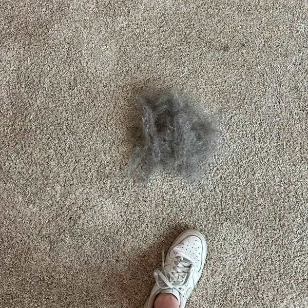 Customer photo review of Magic Lint Cleaner